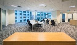 PLUS (D1), Office #533729741